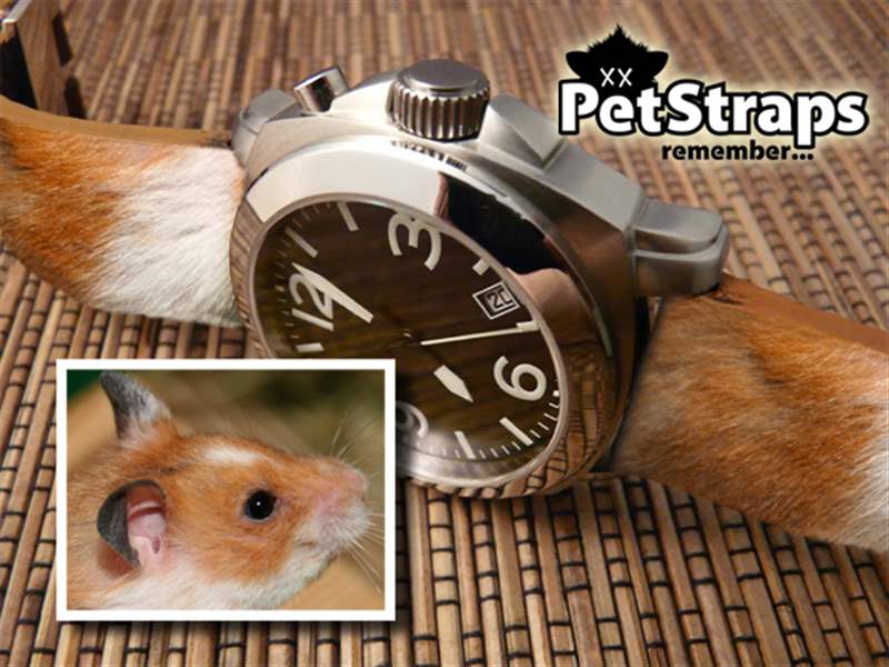 PetStraps：寵物伴侶的愛存在于……您的手腕上-復刻表